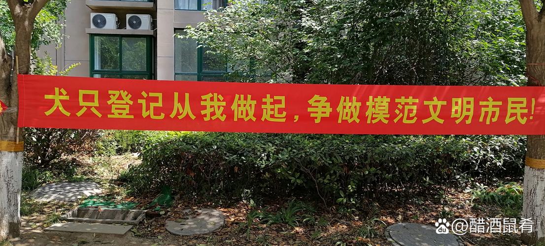 阙氏商城